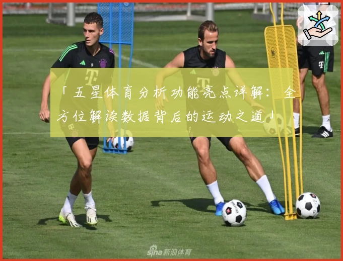 「五星体育分析功能亮点详解：全方位解读数据背后的运动之道」