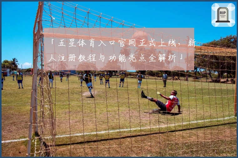 「五星体育入口官网正式上线，新人注册教程与功能亮点全解析」