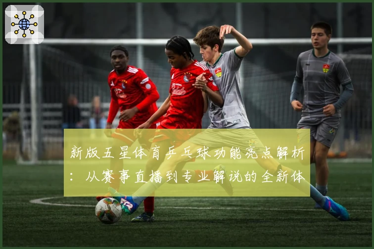 新版五星体育乒乓球功能亮点解析：从赛事直播到专业解说的全新体验