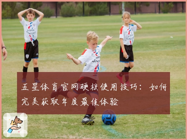 五星体育官网硬核使用技巧：如何完美获取年度最佳体验