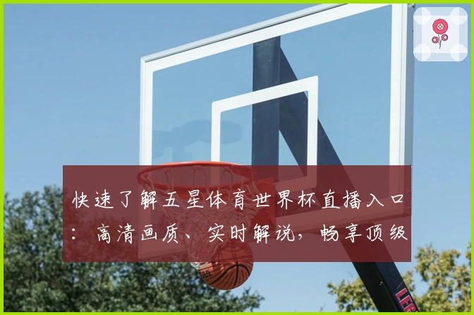 快速了解五星体育世界杯直播入口：高清画质、实时解说，畅享顶级赛事体验！