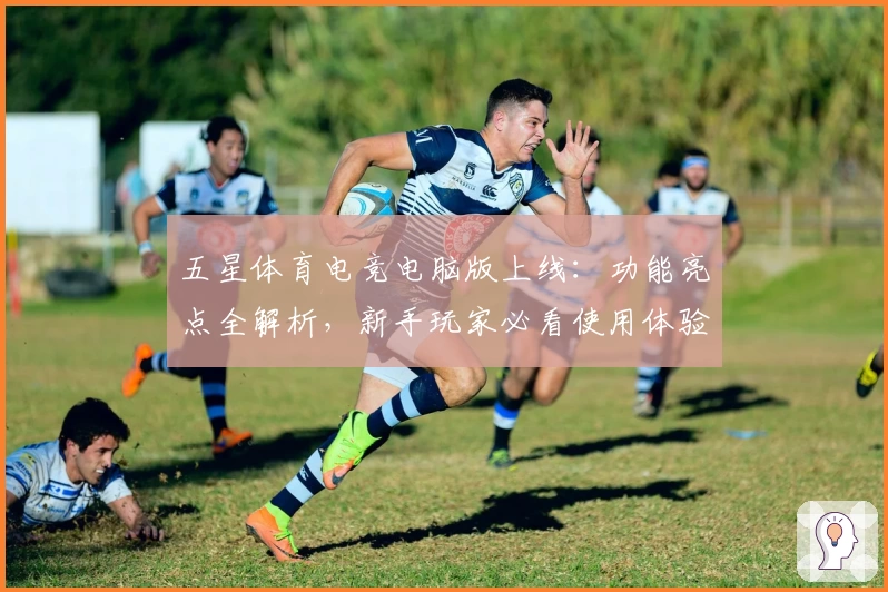 五星体育电竞电脑版上线：功能亮点全解析，新手玩家必看使用体验指南