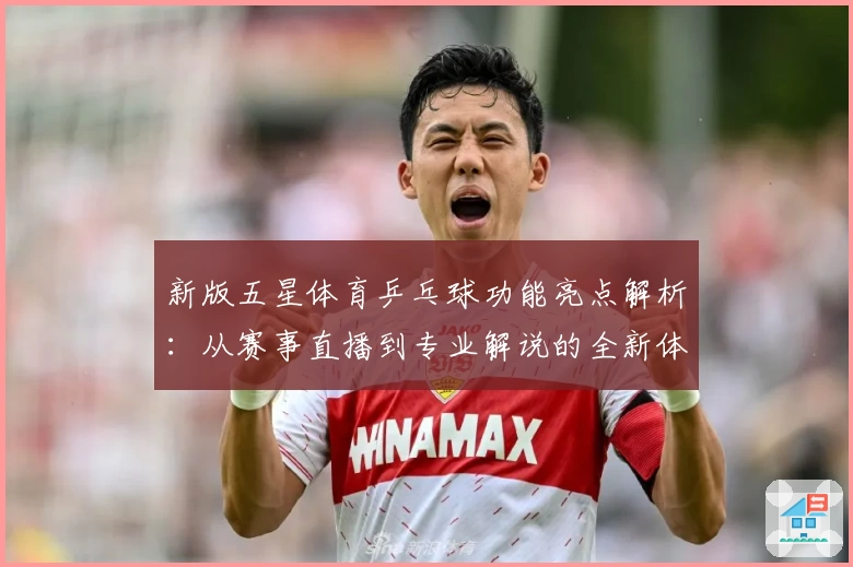 新版五星体育乒乓球功能亮点解析：从赛事直播到专业解说的全新体验